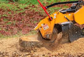 Best Firewood Processing and Delivery  in Mcchord Af, WA