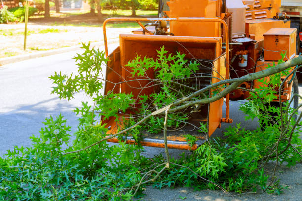 Best Landscape Design and Installation  in Mcchord Af, WA