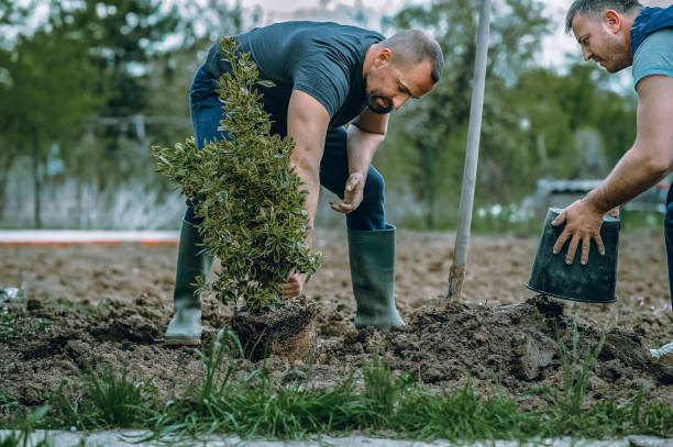 Best Soil Testing and Treatment  in Mcchord Af, WA