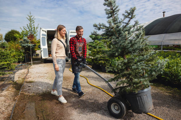Best Hazardous Tree Removal  in Mcchord Af, WA